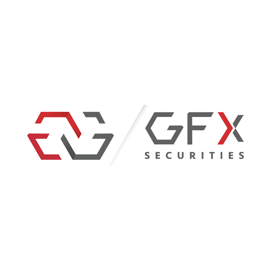 GFX SECURITIES logo