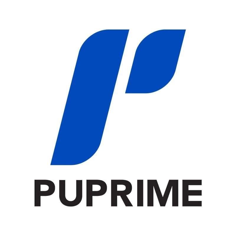 PACIFIC UNION logo