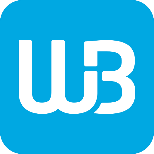 WINDSOR BROKERS logo