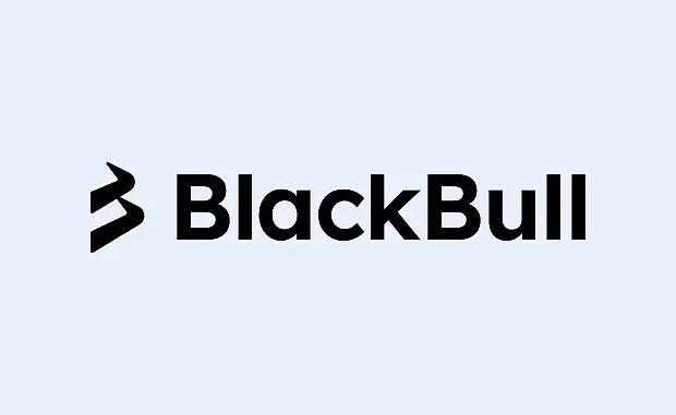 BLACKBULL MARKETS logo